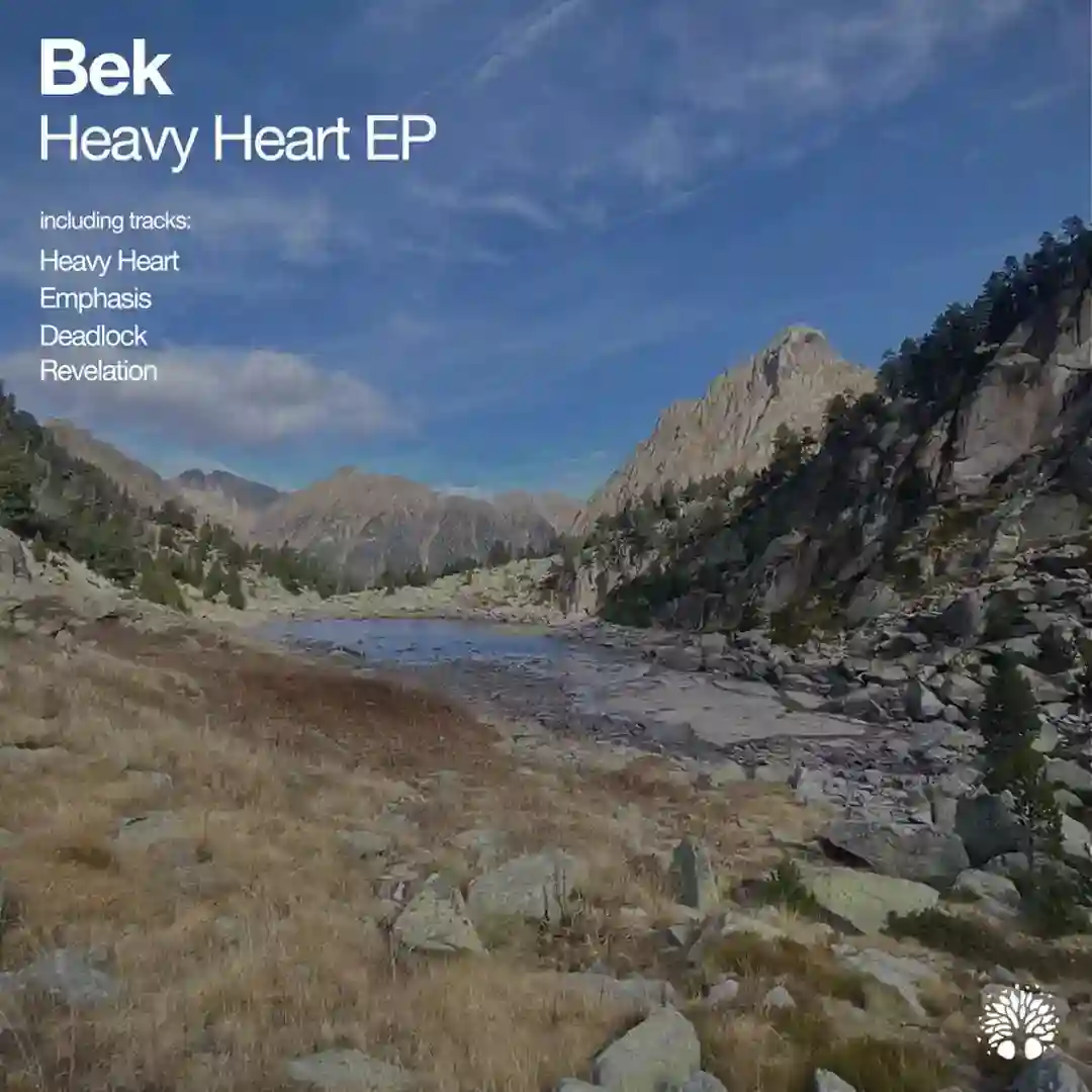 Heavy Heart cover