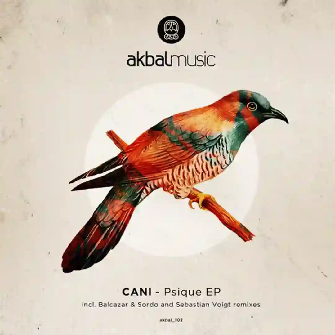Psique (Sebastian Voigt Remix) cover