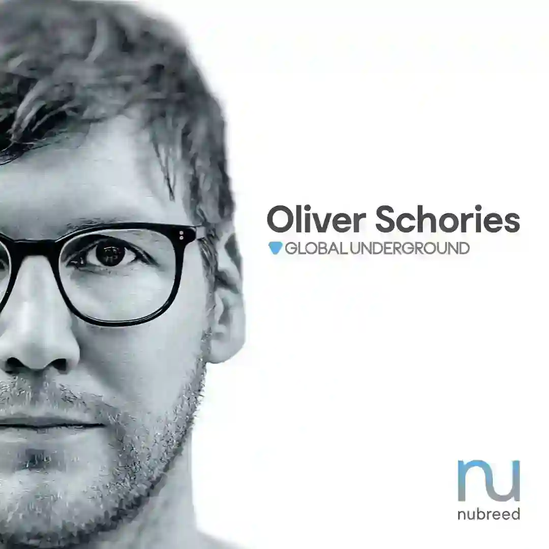 You Did It (Mixed) cover