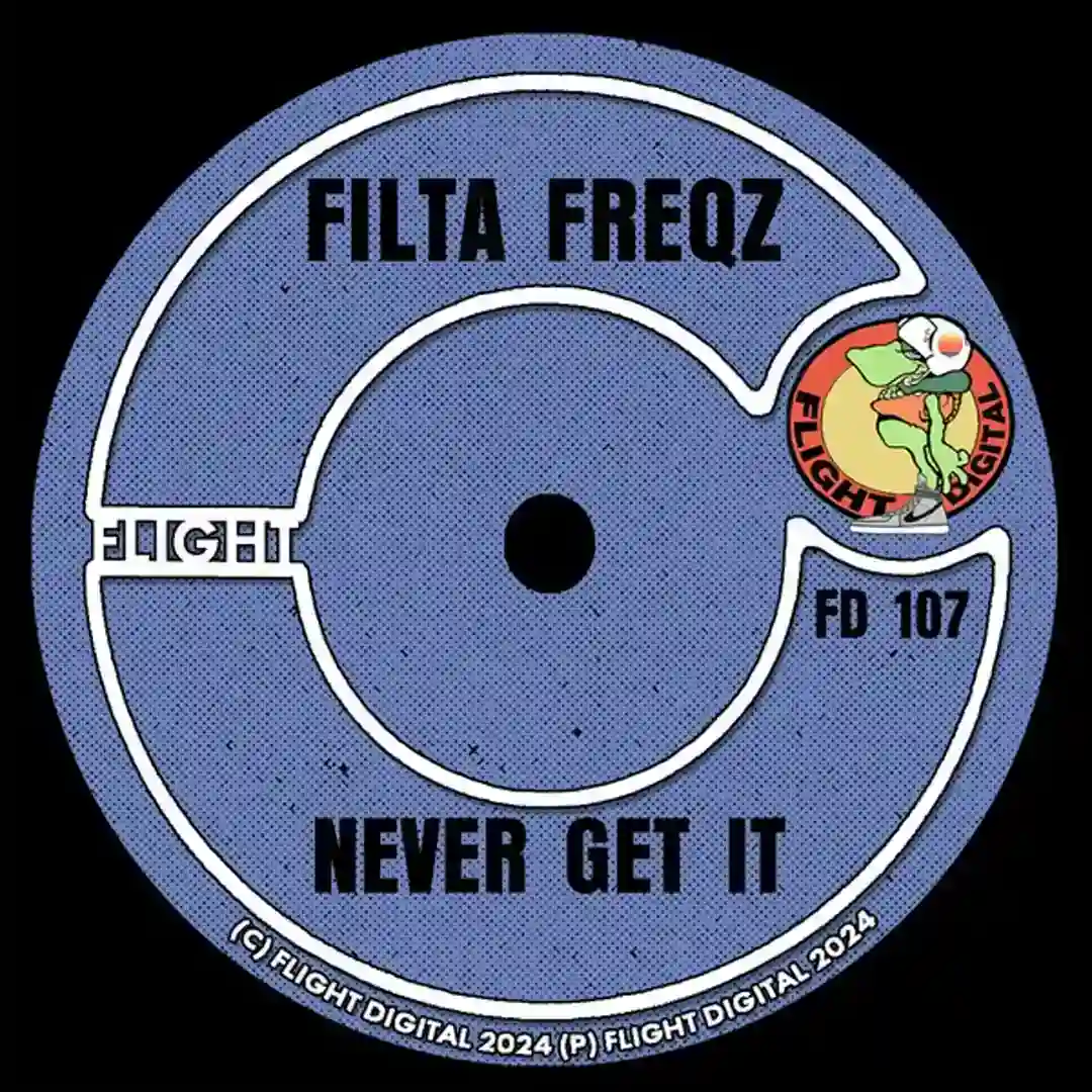 Never Get It cover
