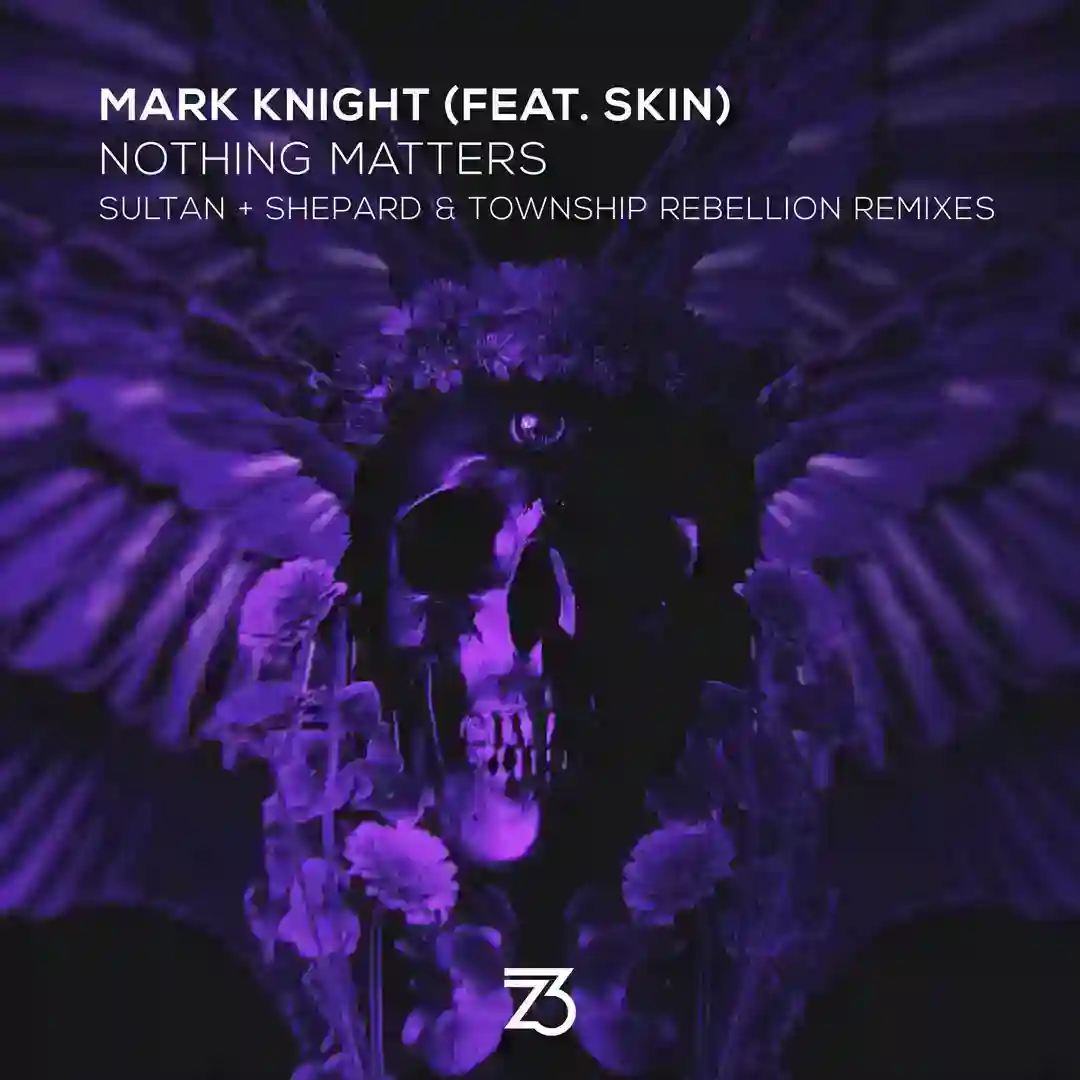 Nothing Matters feat. Skin (Sultan + Shepard Extended Remix) cover