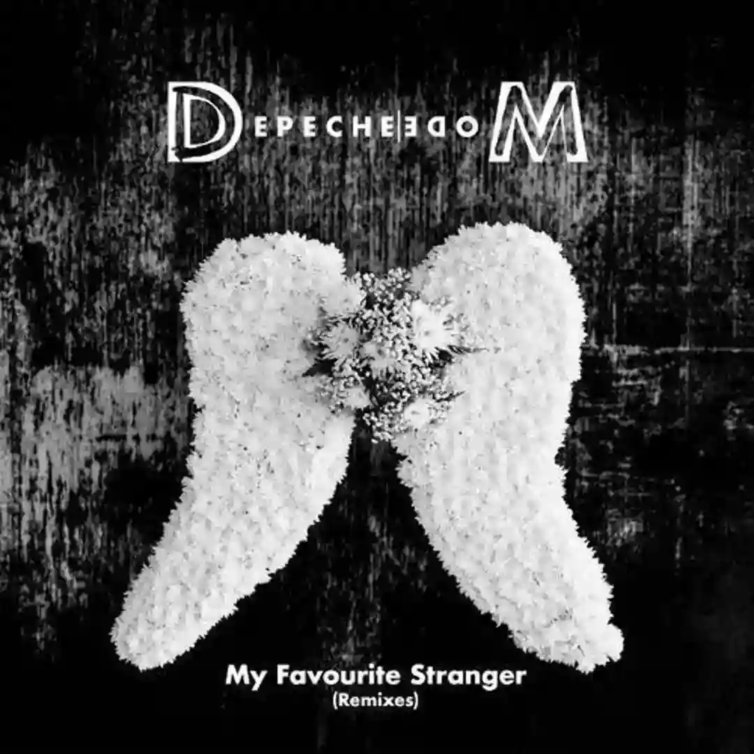 My Favourite Stranger (Long Island Sound Remix) cover