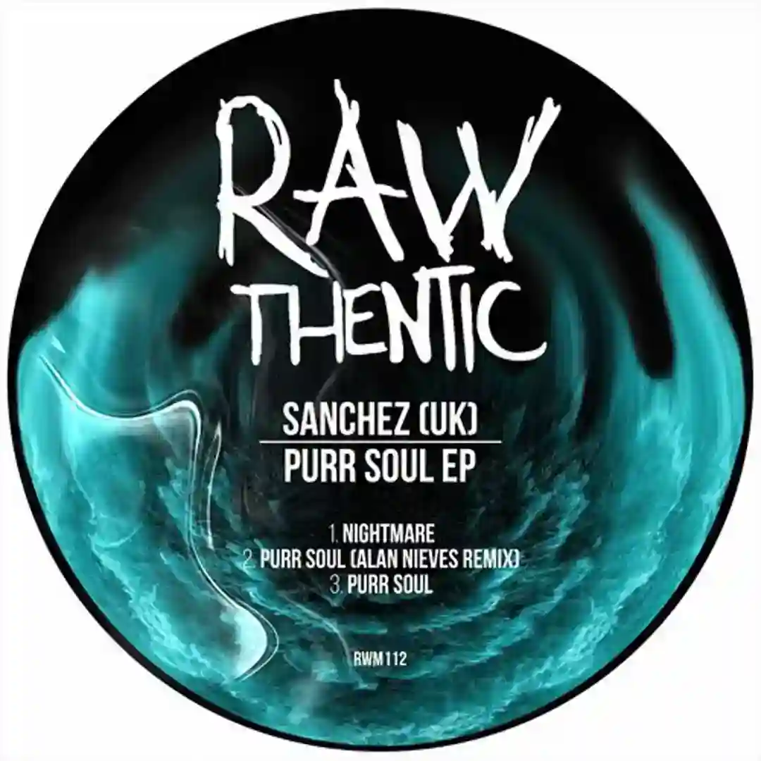 Purr Soul (Alan Nieves Remix) cover