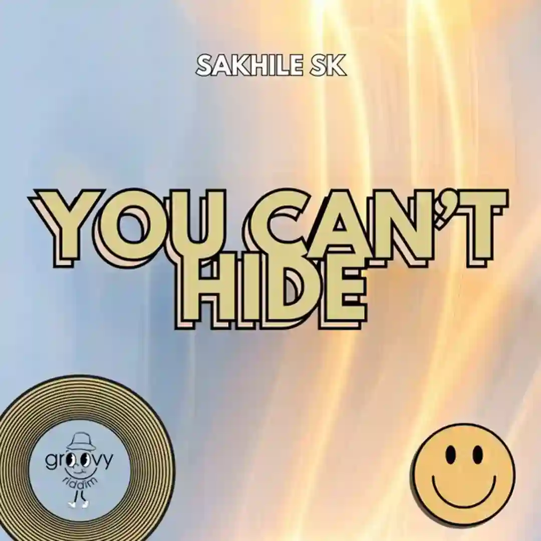 You Can't Hide (Original Mix) cover
