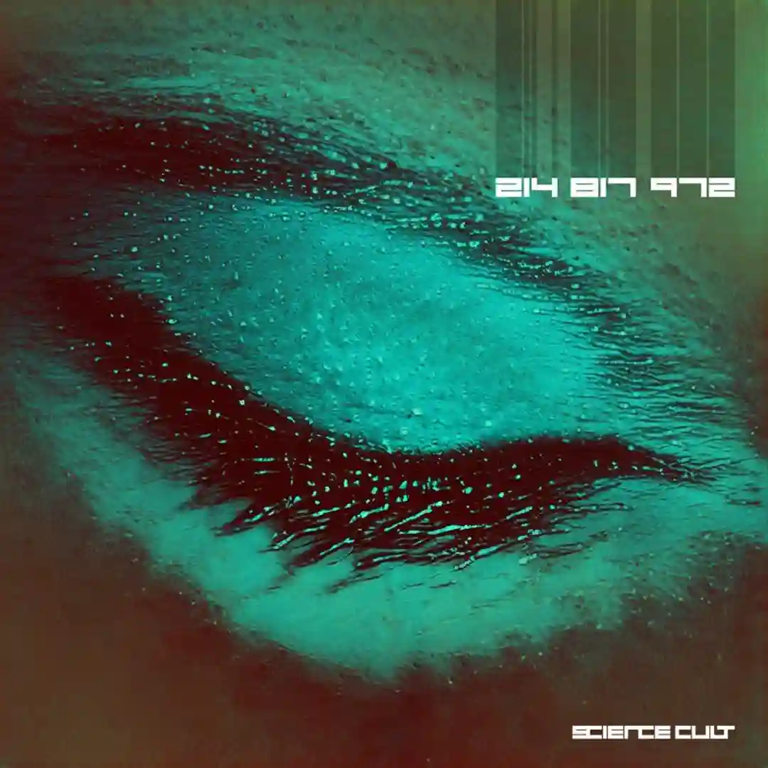 Shake Out cover