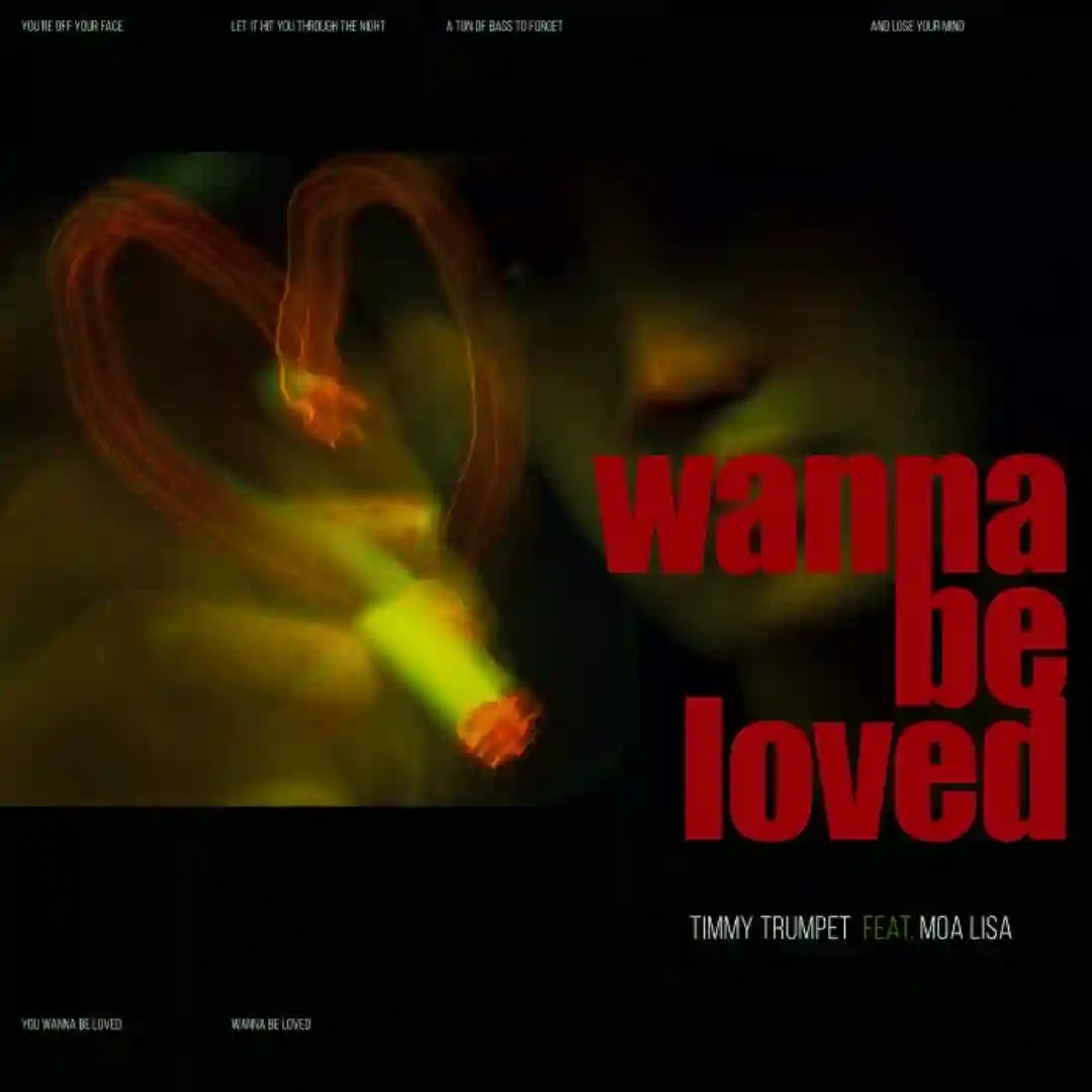 Wanna Be Loved (feat. Moa Lisa) (Extended Mix) cover