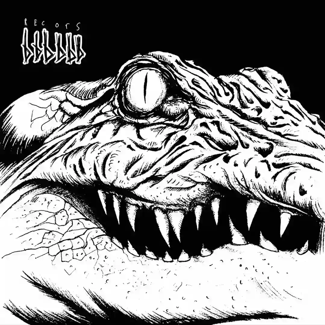 Survivin' The Danger cover