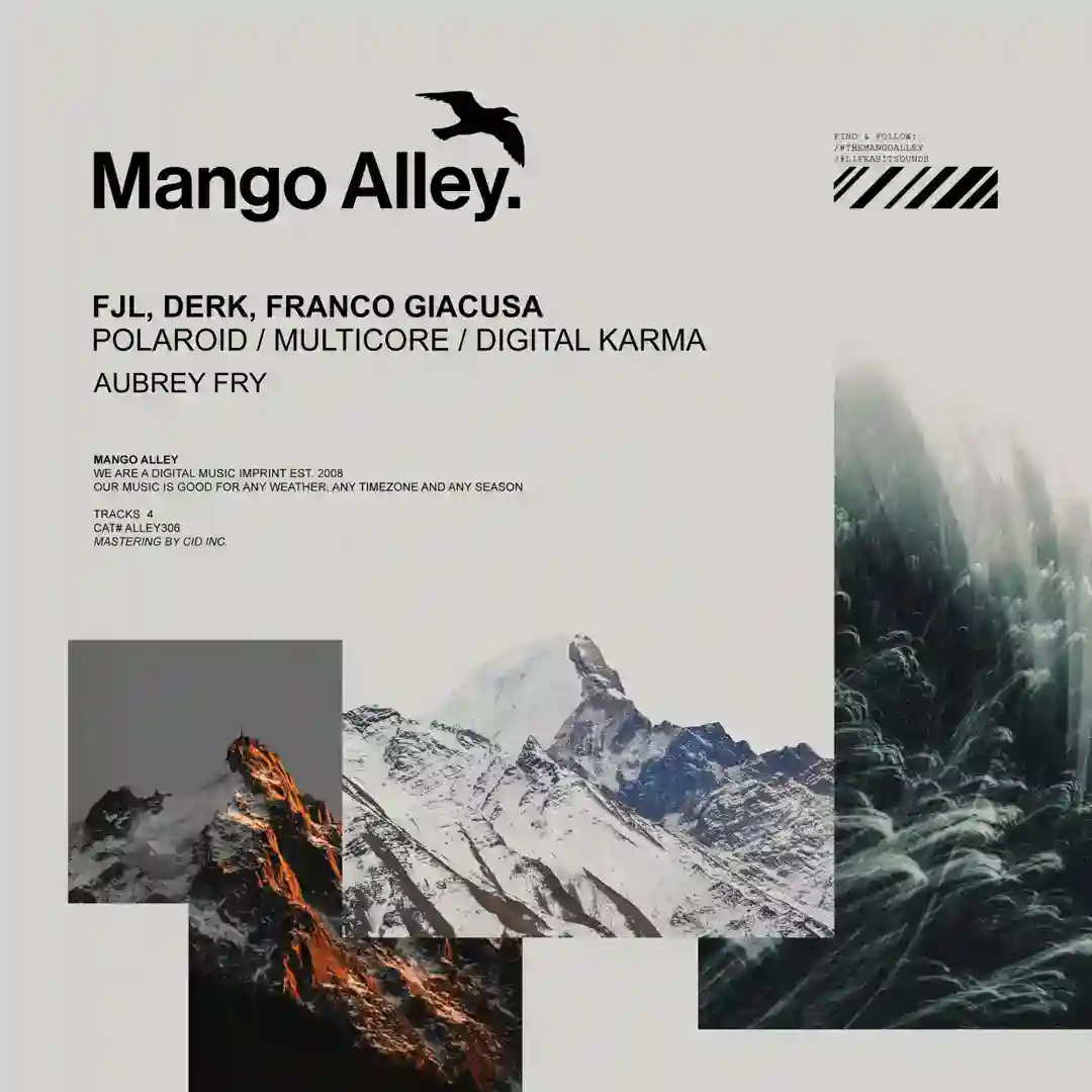 Polaroid (Aubrey Fry 'Vortex' Remix) cover