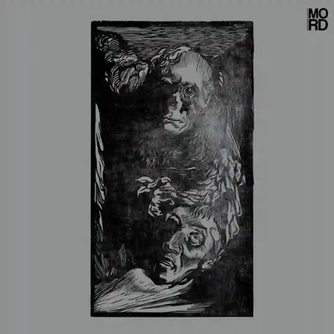 Run (Original Mix) cover