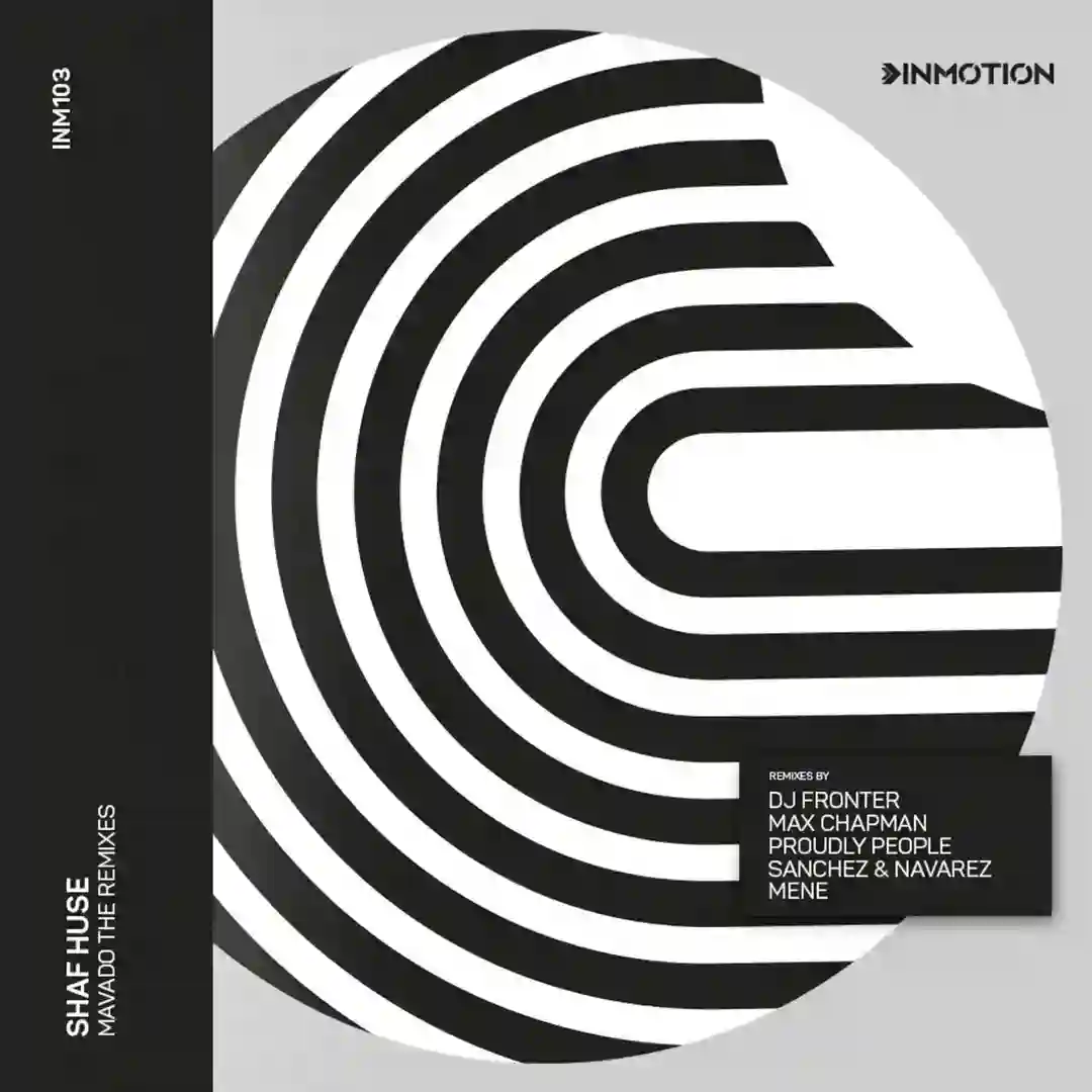 Mavado (Mene Remix) cover