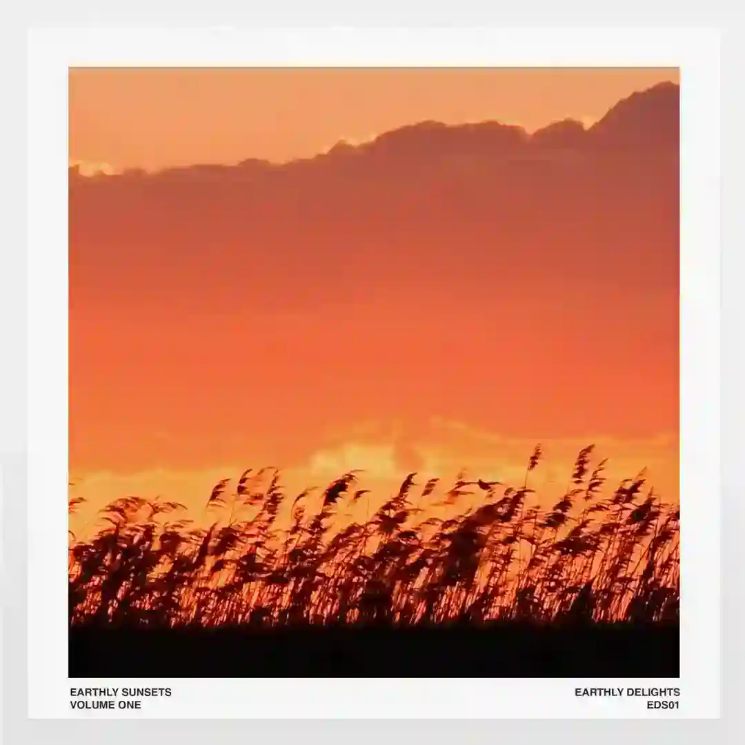 Relentless (Ambient Mix) cover