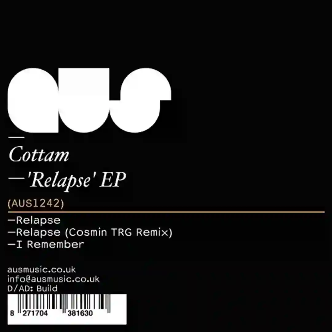 Relapse (Cosmin TRG Remix) cover