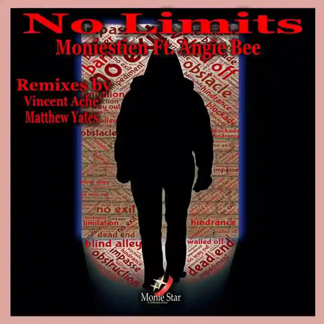 No Limits feat. Angie Bee (Vincent Aché Remix) cover