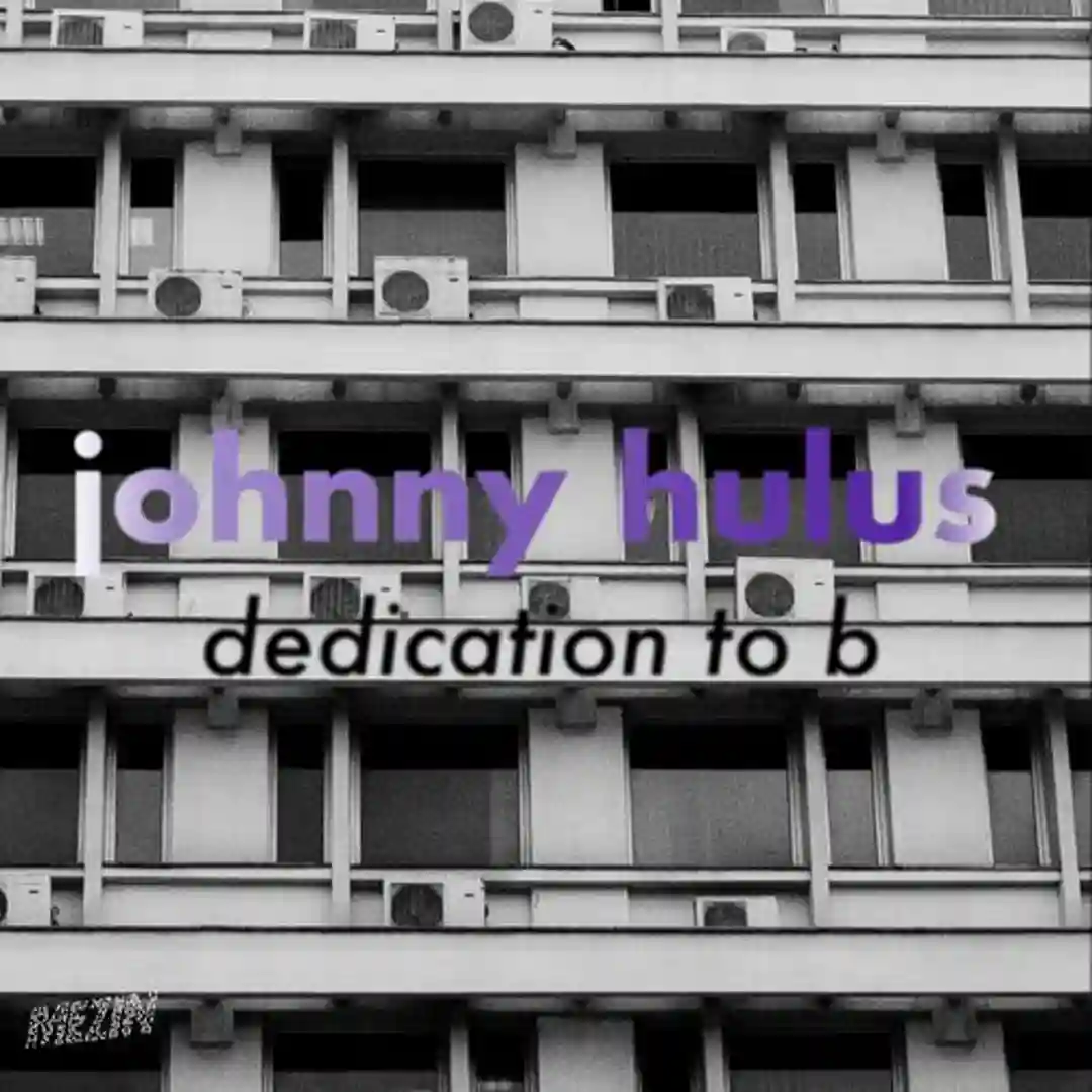 You've Been Wooed (Original Mix) cover