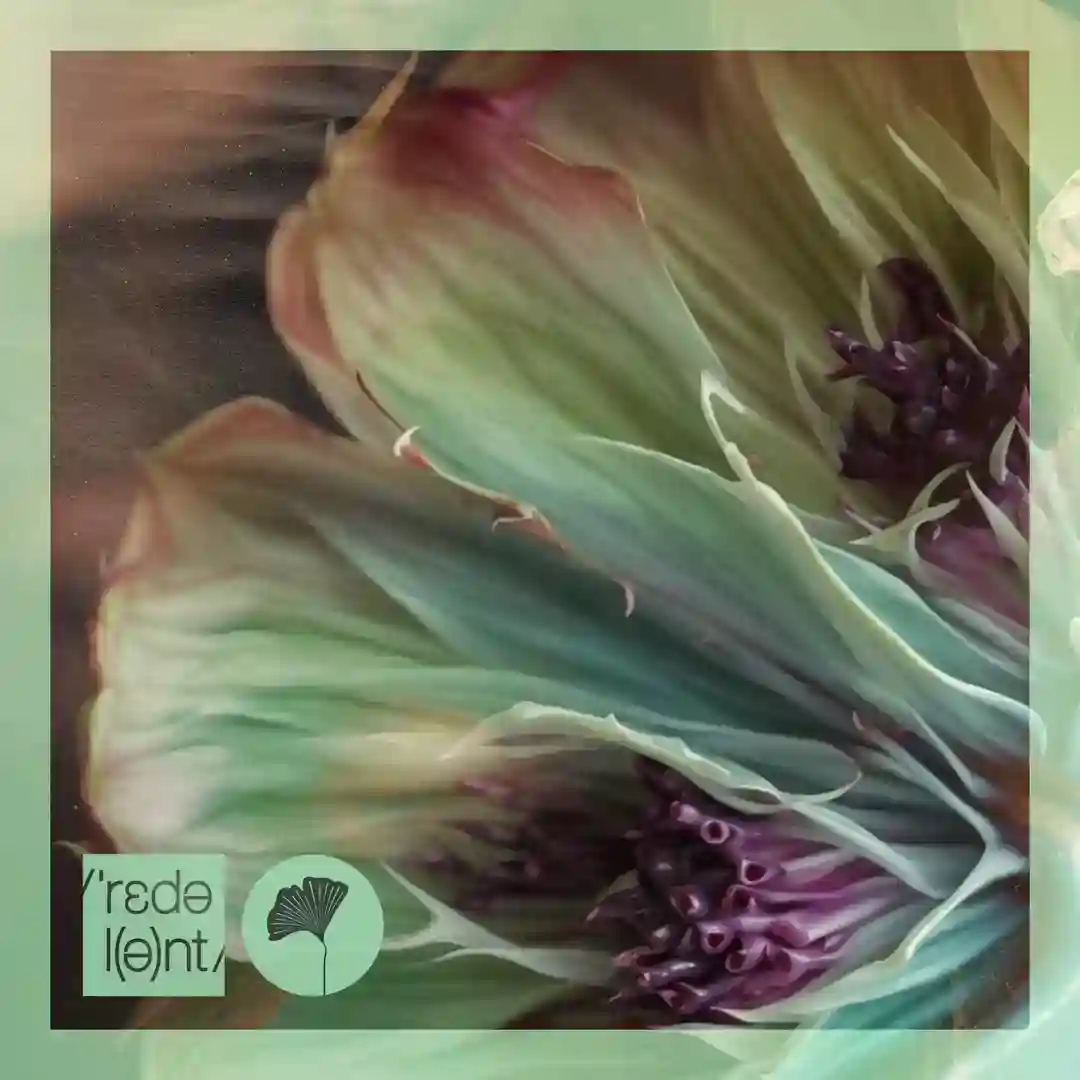 Oxossi cover
