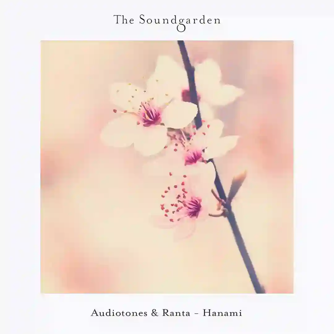 Hanami cover