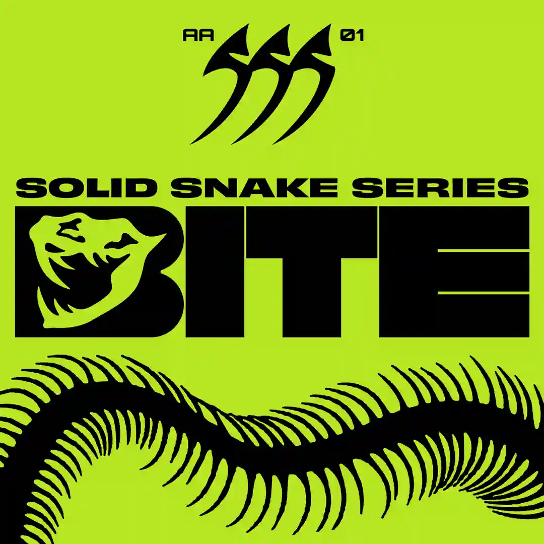 Solid Snake Series 01 cover
