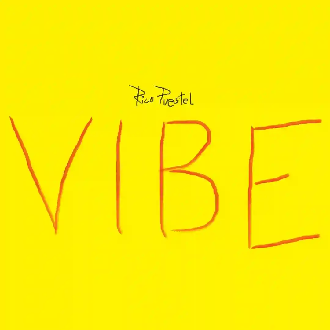 The Vibe (Original Mix) cover