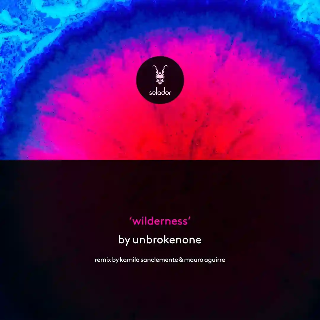 Gradient (Kamilo Sanclemente & Mauro Aguirre Remix) cover