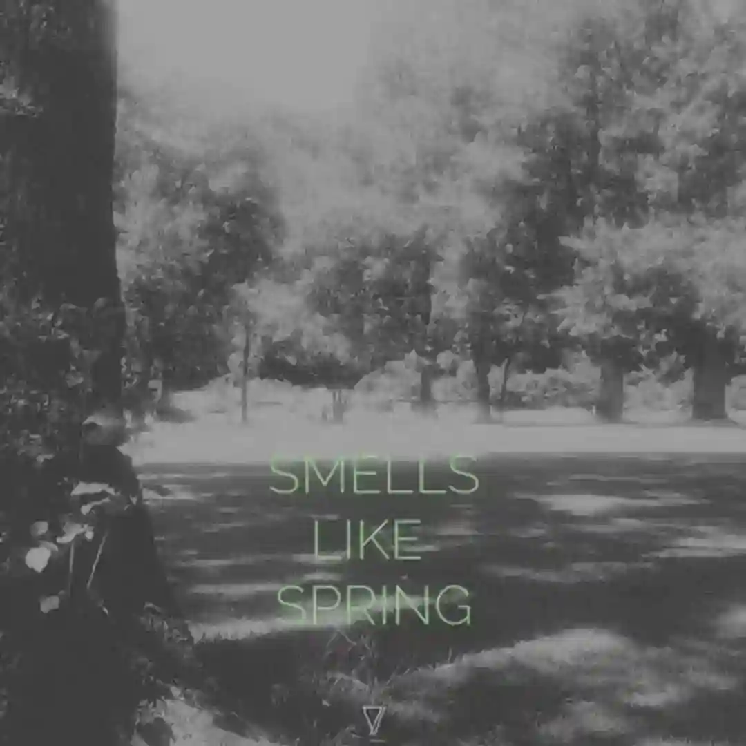 Over the Past Year (Original Mix) cover