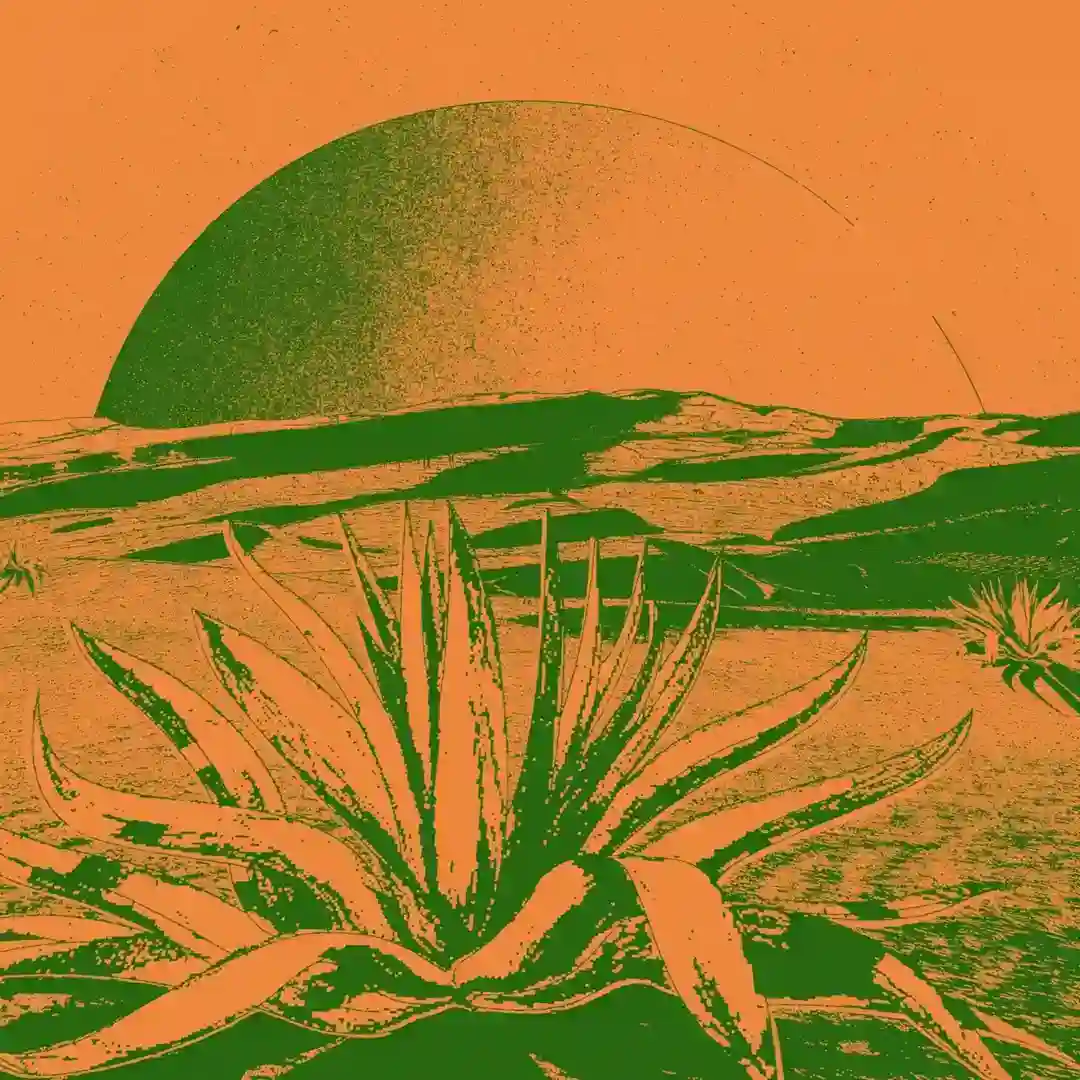 Round & Round cover