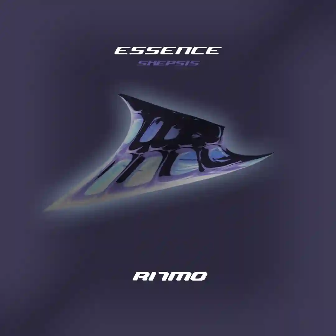 Raw Motion (Original Mix) cover