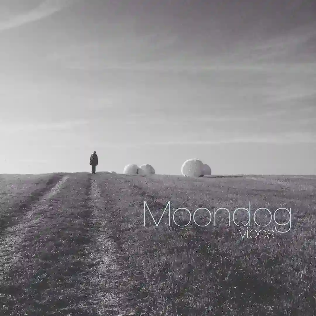 Pablo Bolivar Moondog Vibes cover