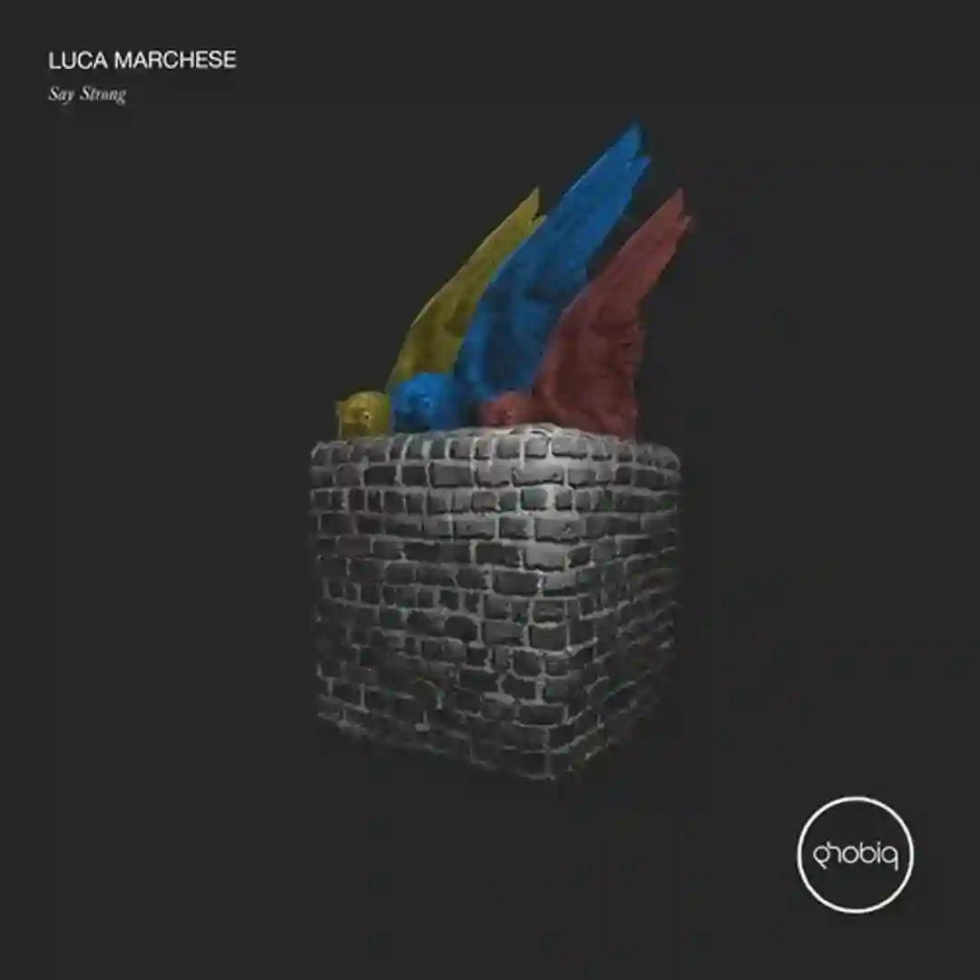 Physical (Original Mix) cover