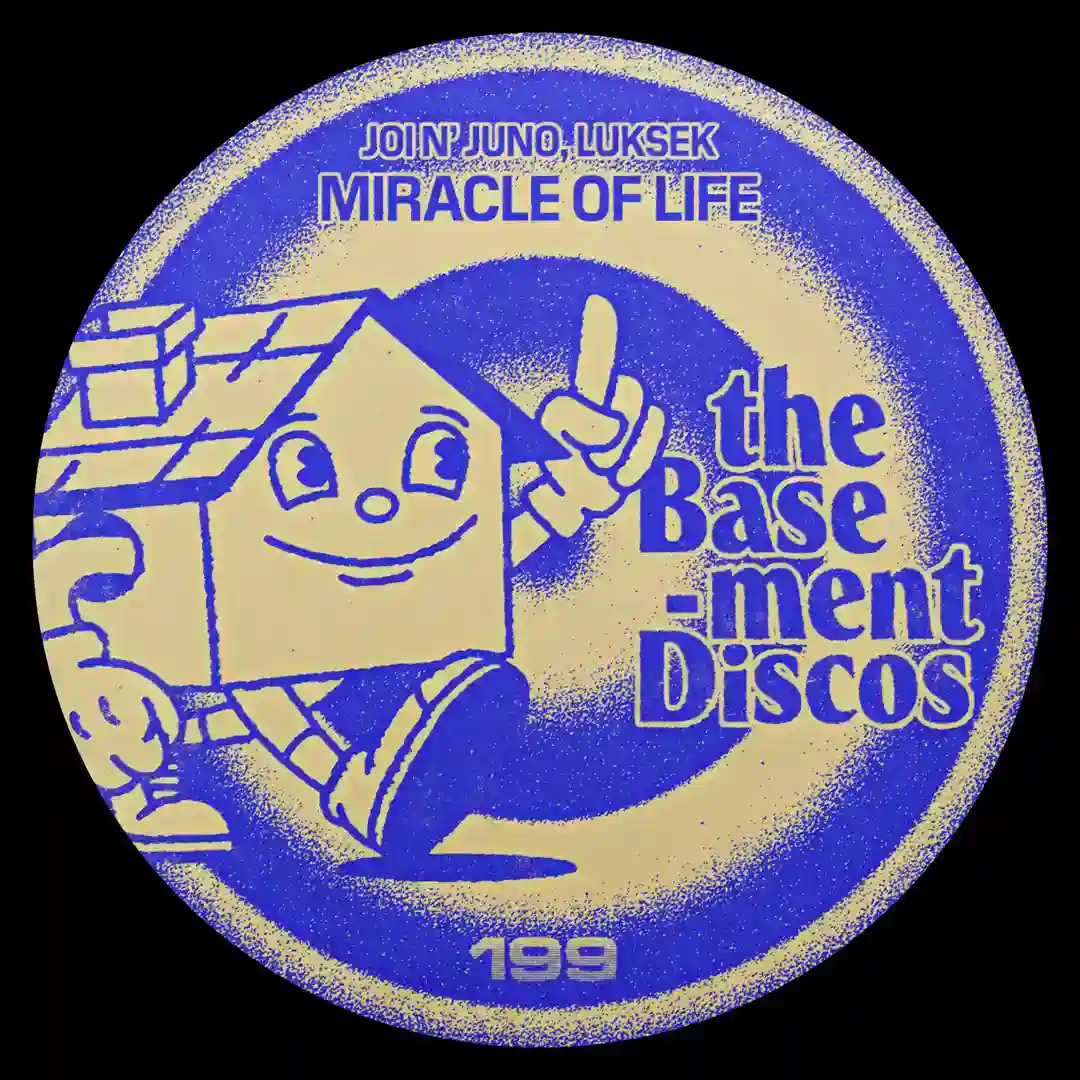 Miracle Of Life cover