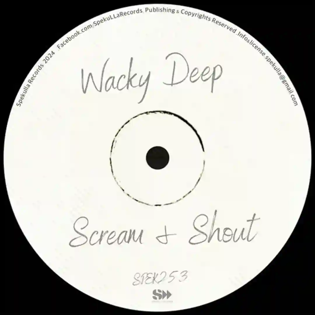 Scream & Shout (Original Mix) cover