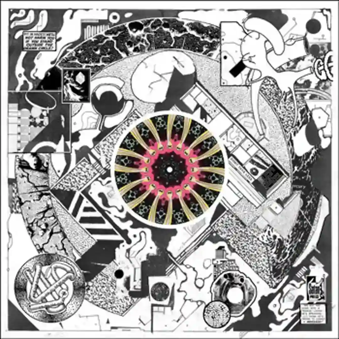Transient Field cover