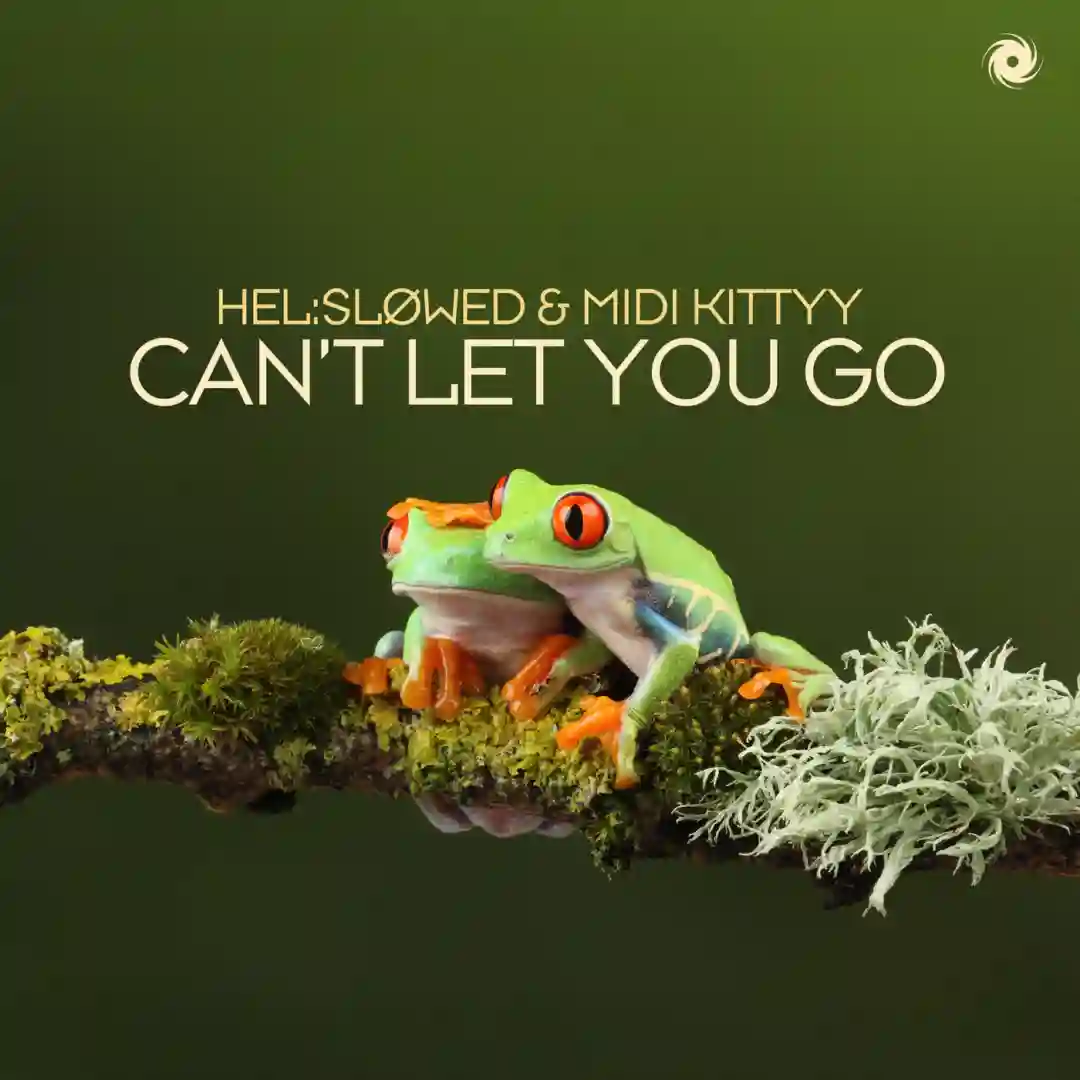 Can't Let You Go cover