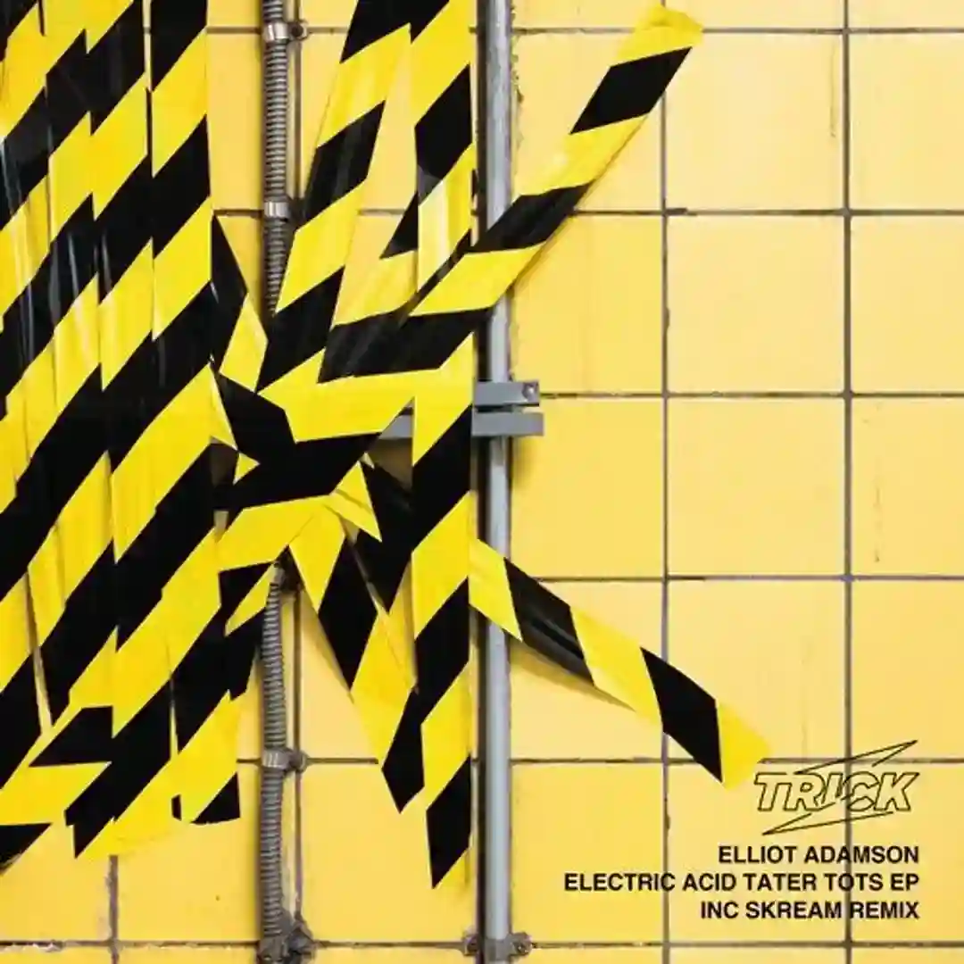 Electric Acid Tater Tots (Skream Remix) cover