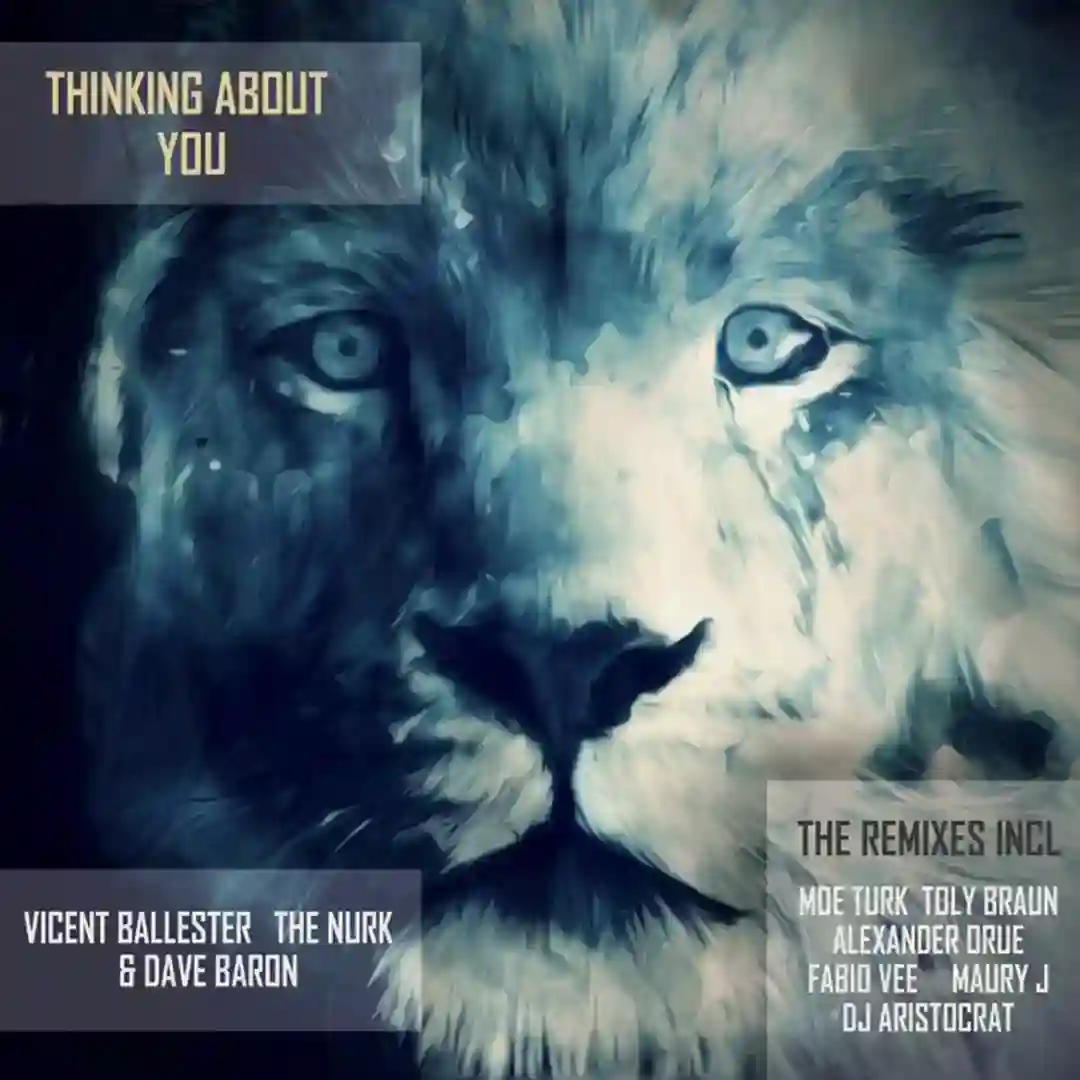 Thinking About You (Toly Braun remix) cover