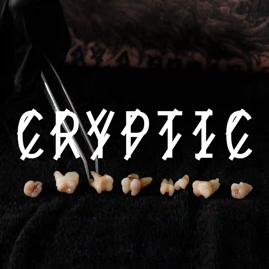 Cryptic (Kobosil Hart Mix) cover