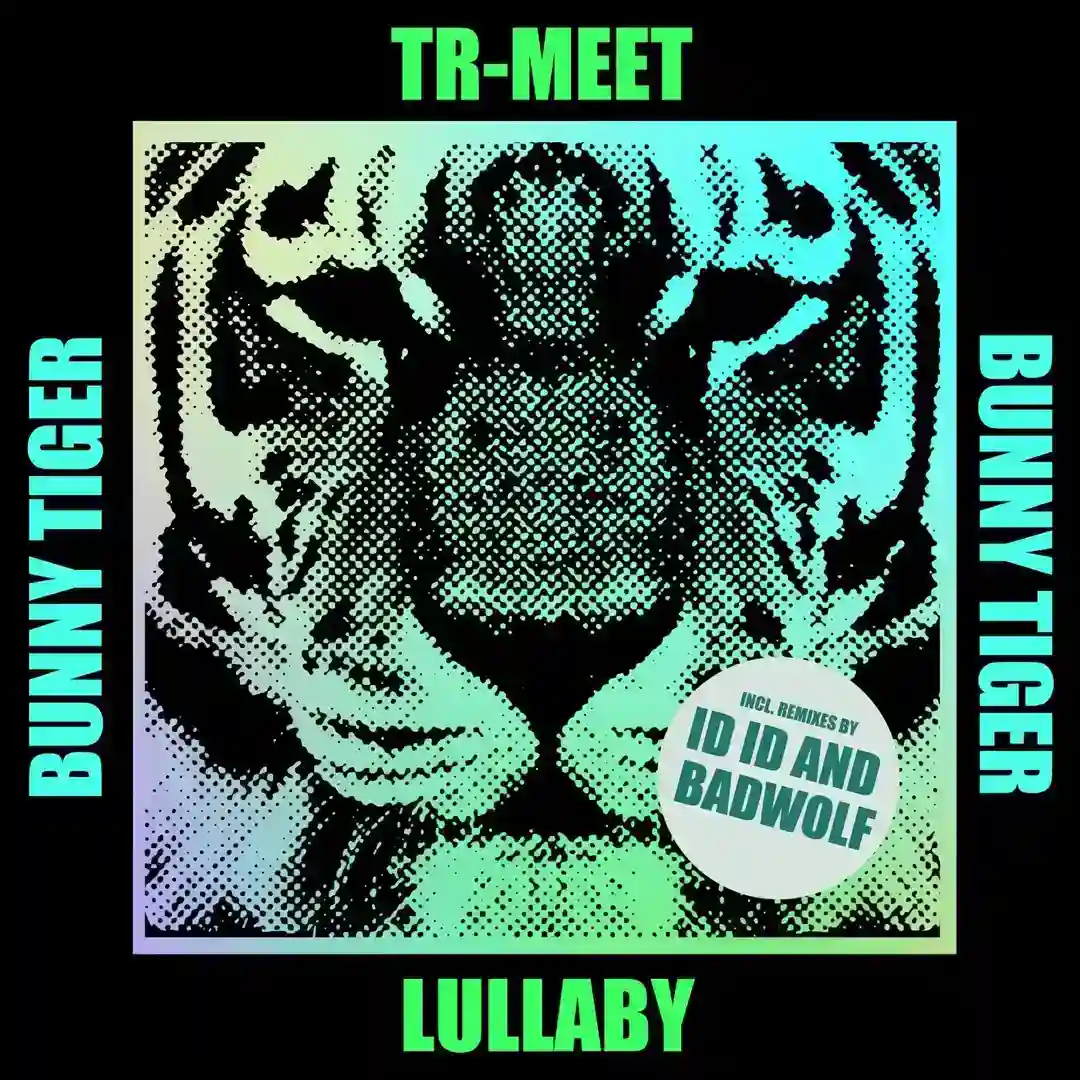Lullaby (BadWolf Remix) cover