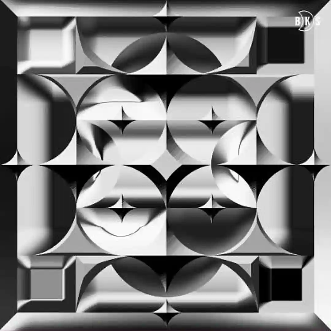Closer cover