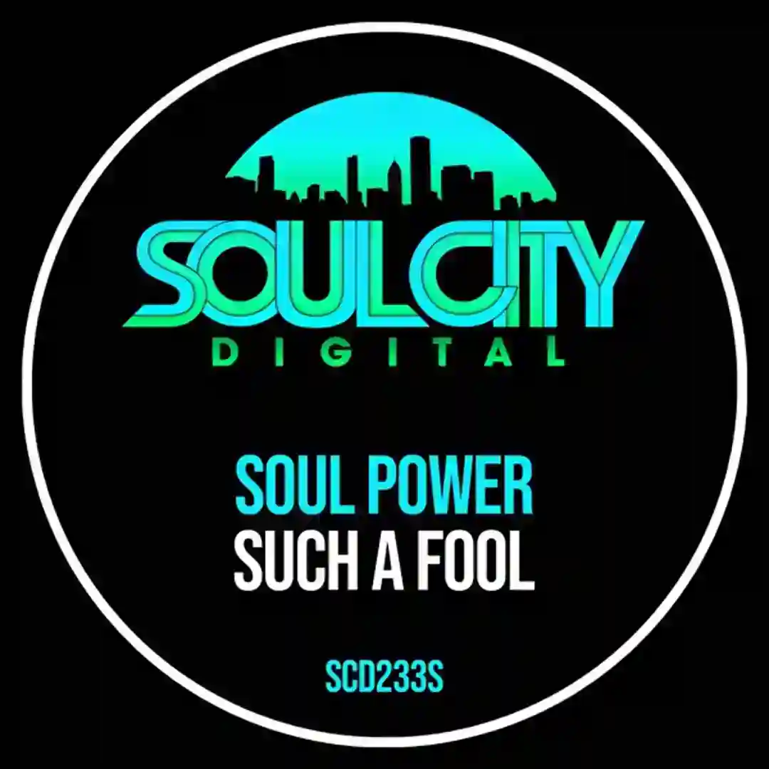 Such A Fool cover
