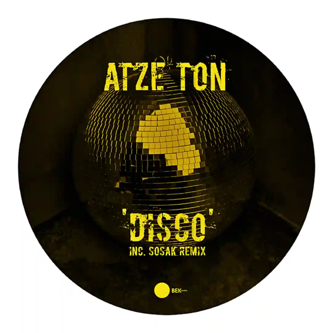 Disco (Sosak Remix) cover