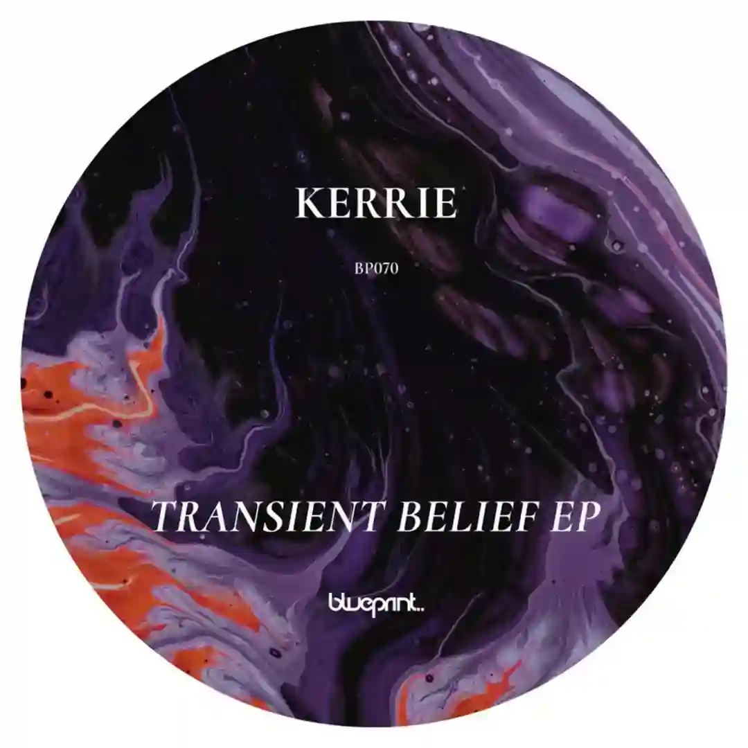 Transient Belief cover