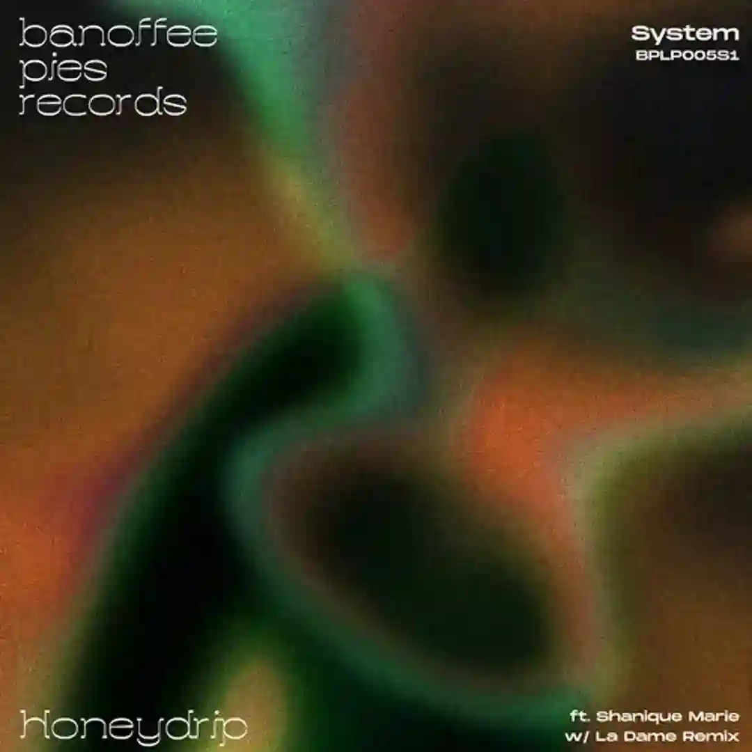 System (La Dame Remix) cover