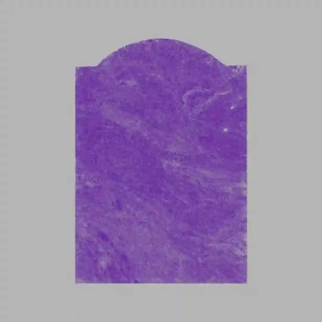 Allaby cover