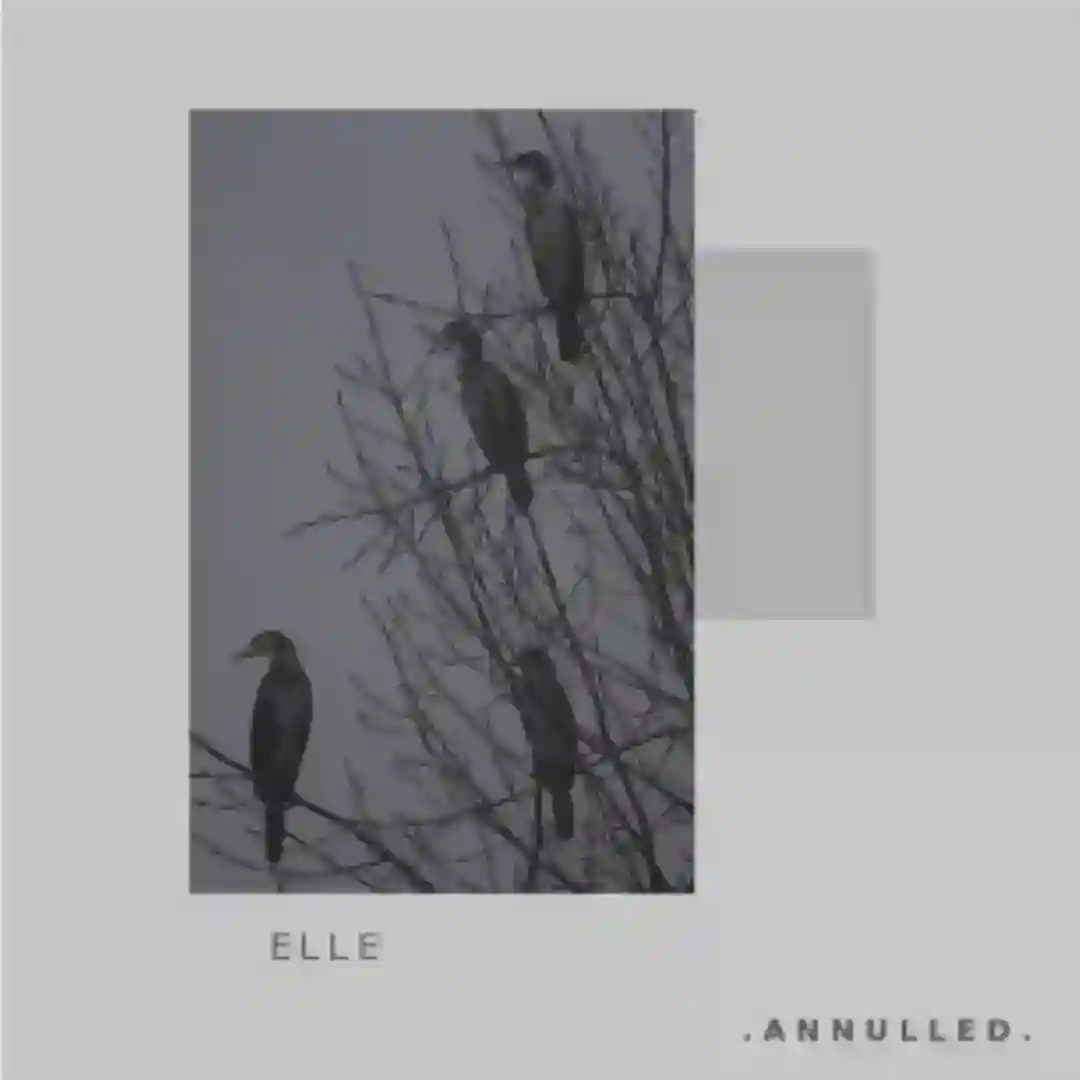 Elle - Haiuri (Original Mix) cover