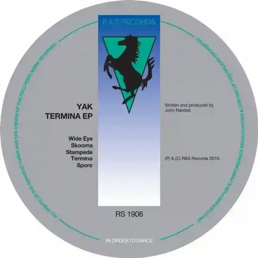 Termina (Original Mix) cover