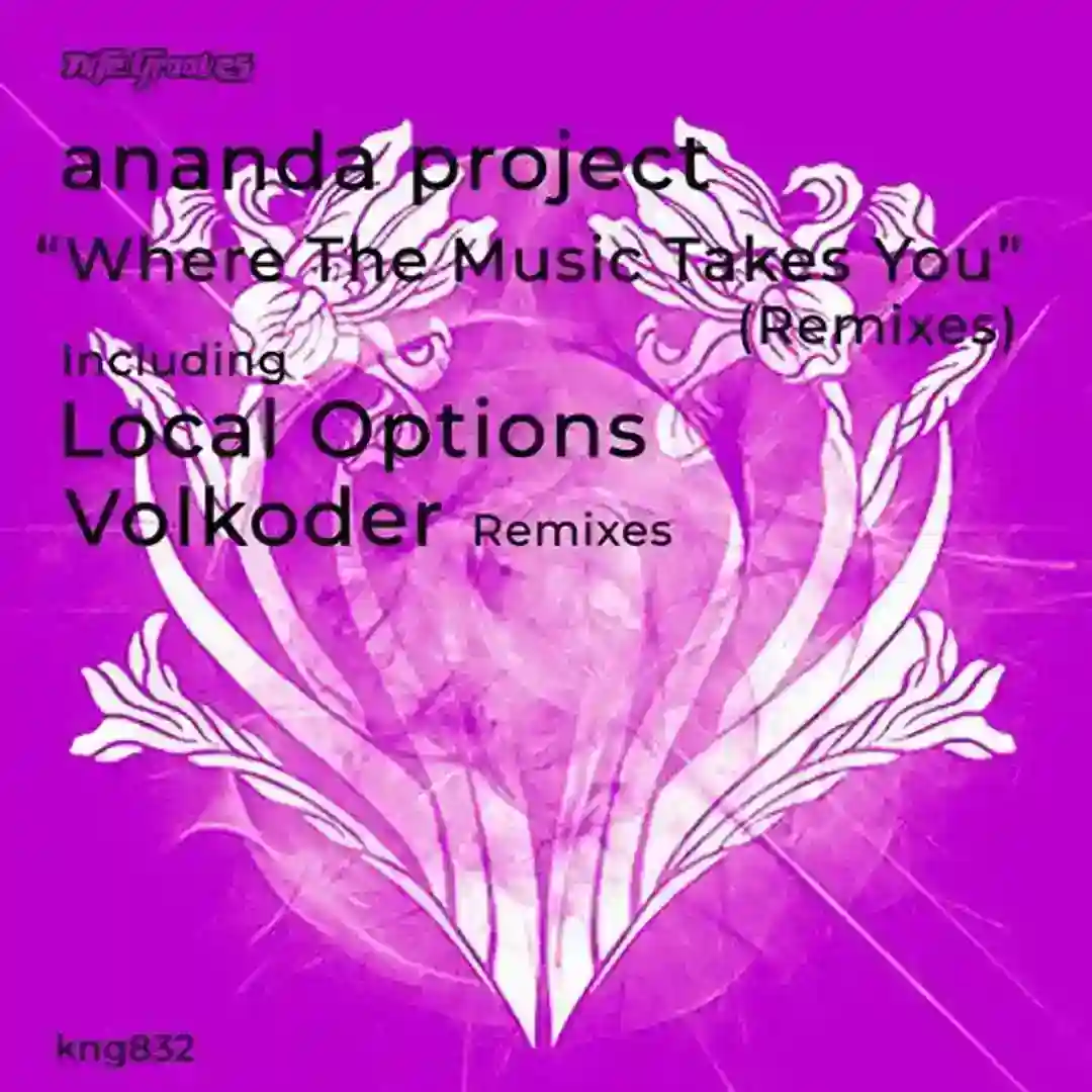 Where The Music Takes You (Remixes) cover