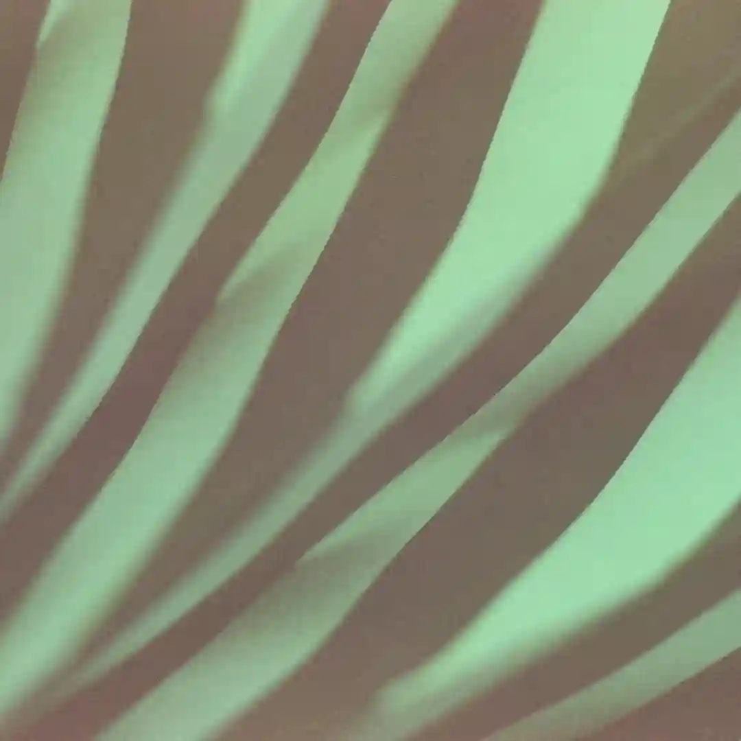 Zeeman Effect cover