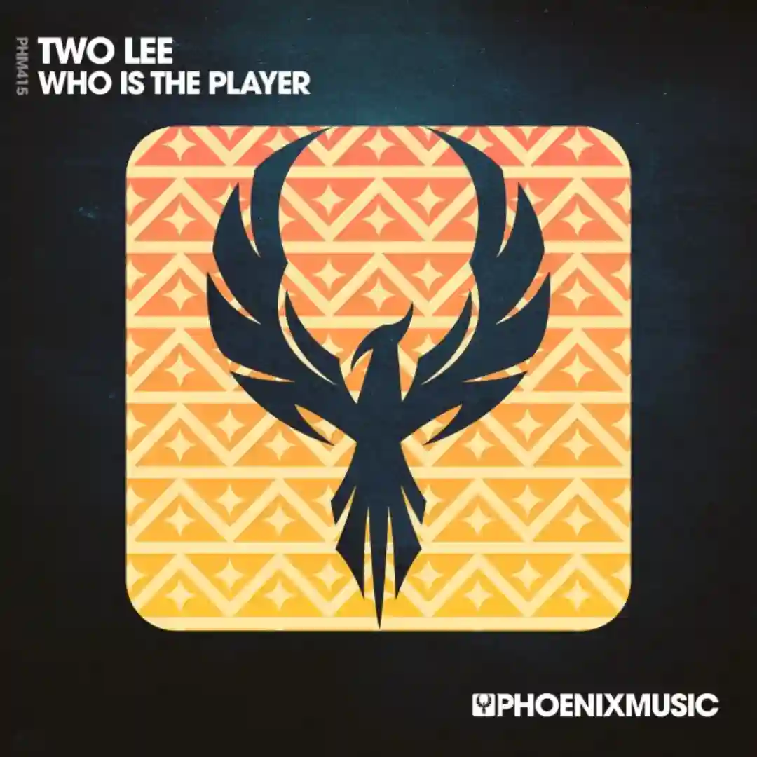 Who Is The Player cover
