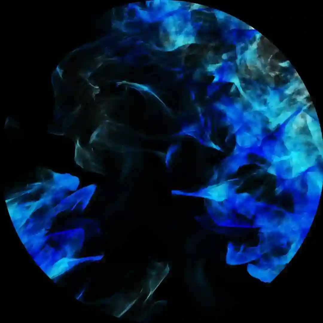 U8 Phunk cover
