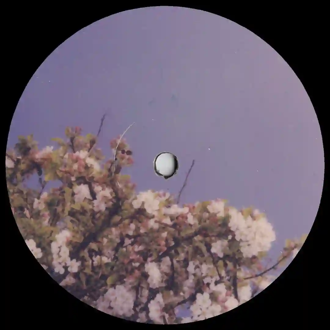 Carioca Soul (Nico Leguizamon Remix) cover