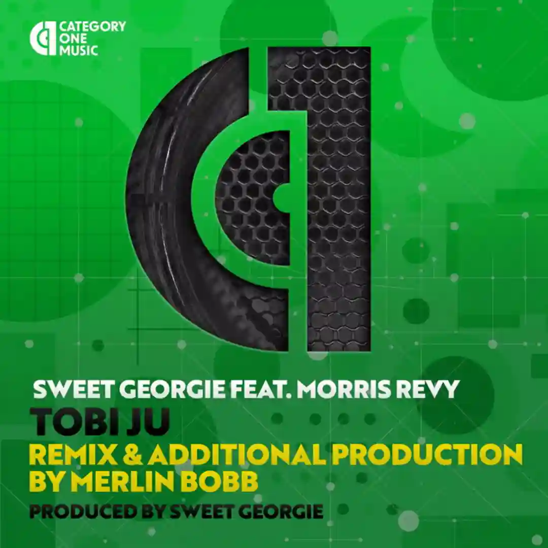 Tobi Ju (feat. Morris Revy) (Merlin Bobb Soulfro Remix Vocal) cover
